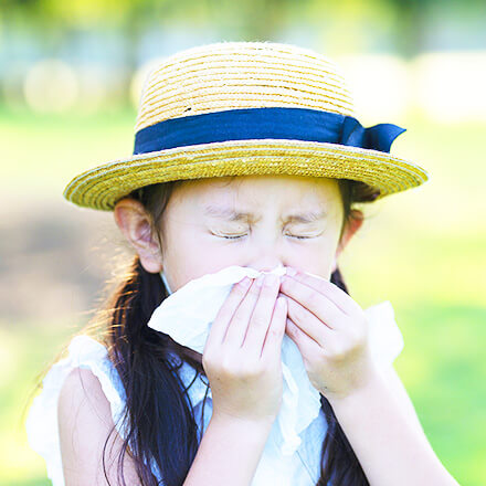 鼻の病気イメージ